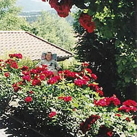 Appartement Deluexe Eckl *